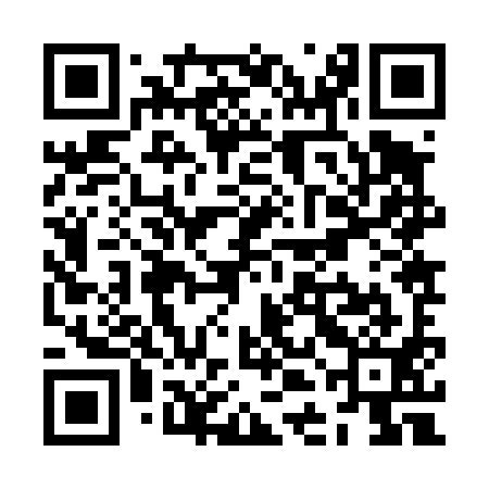 QR code for ZDJ491