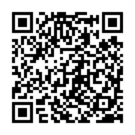 QR code for ZDJ698