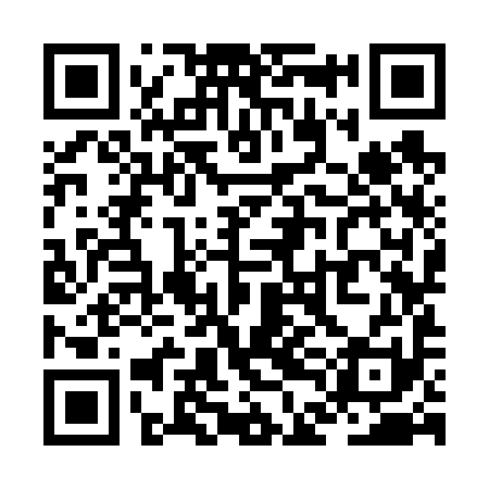 QR code for ZDK691