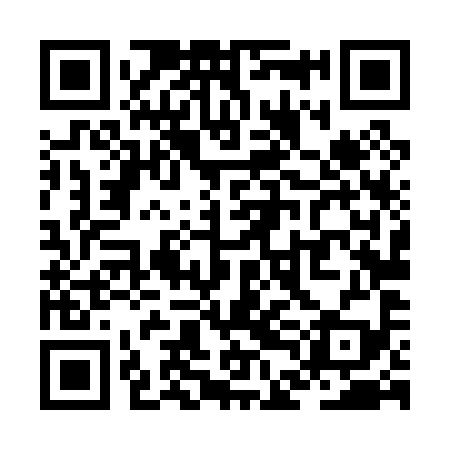 QR code for ZDL099