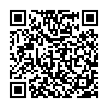 QR code for ZDL291