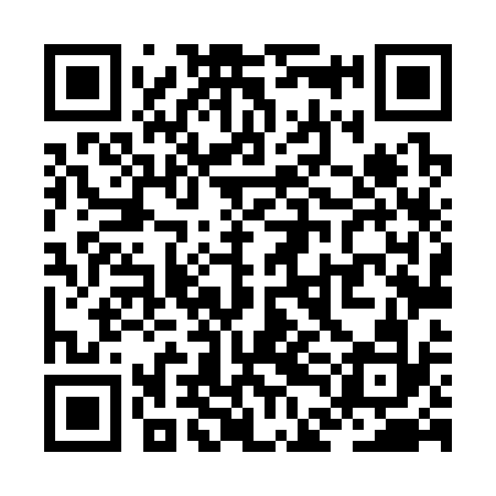 QR code for ZDL332