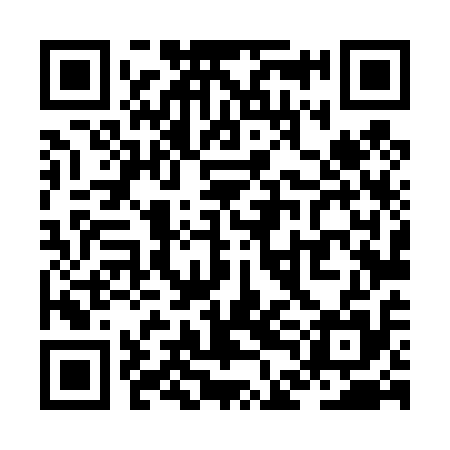 QR code for ZDL415