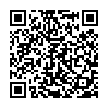 QR code for ZDL499