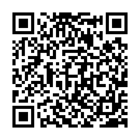 QR code for ZDL717