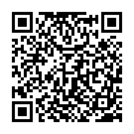 QR code for ZDL863