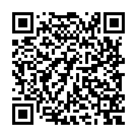 QR code for ZDL954