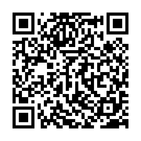 QR code for ZDM095