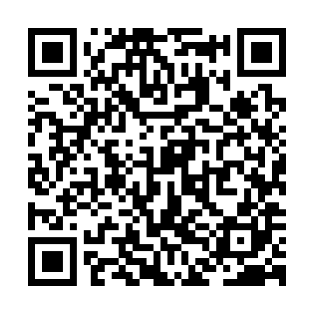 QR code for ZDM380