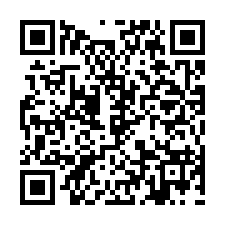 QR code for ZDM393