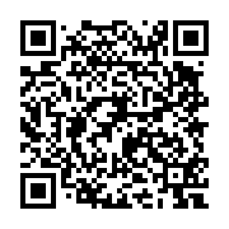 QR code for ZDM411