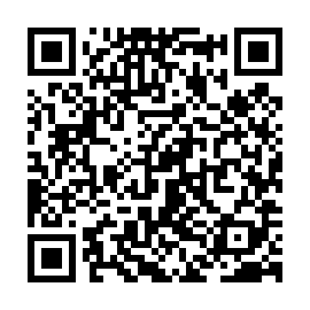QR code for ZDM489