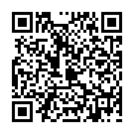 QR code for ZDM938