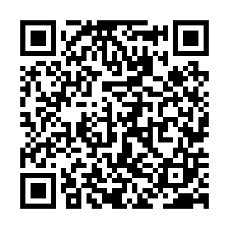 QR code for ZDN203