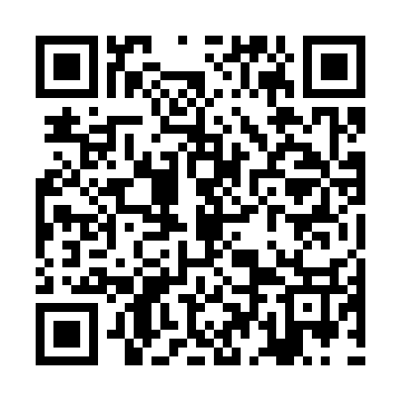 QR code for ZDN337