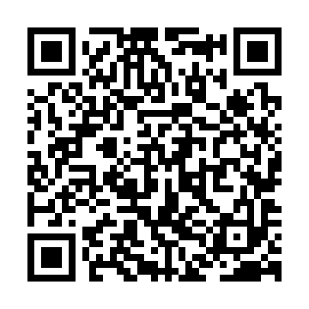 QR code for ZDN393