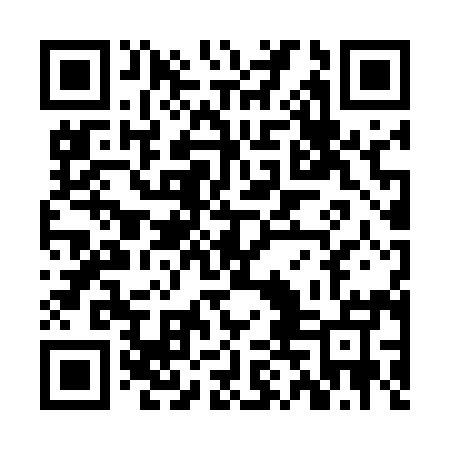 QR code for ZDN595