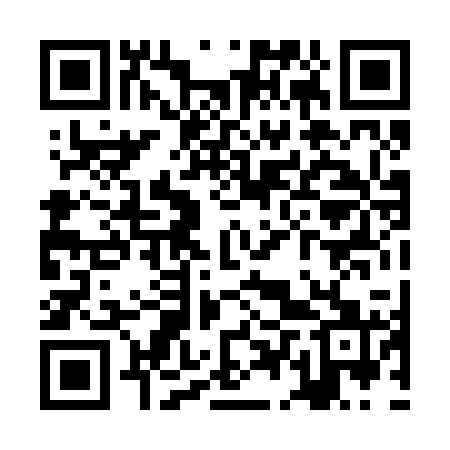 QR code for ZDP221
