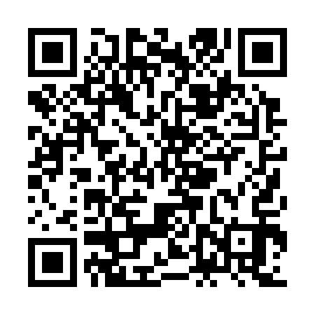 QR code for ZDP313