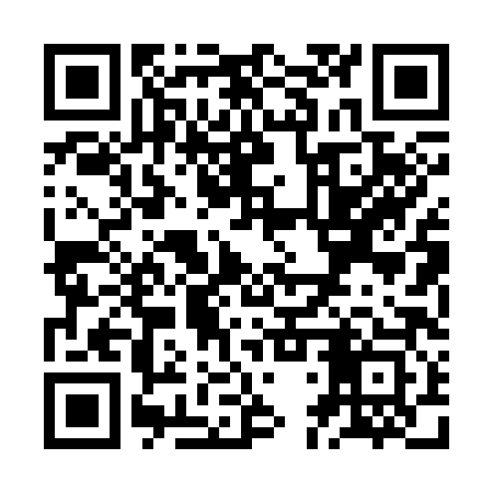 QR code for ZDP383