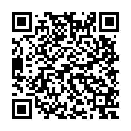 QR code for ZDP500