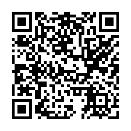 QR code for ZDP811