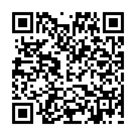 QR code for ZDQ333