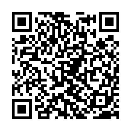 QR code for ZDQ551