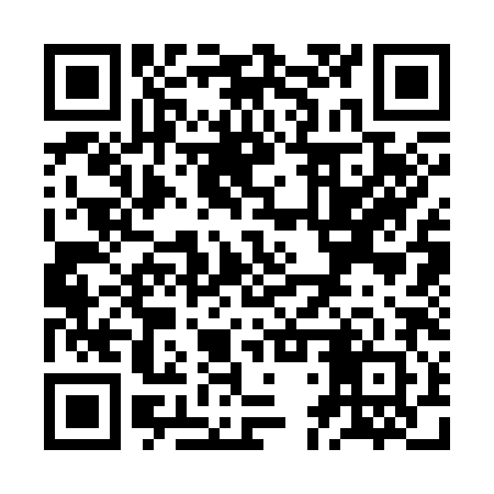 QR code for ZDS382