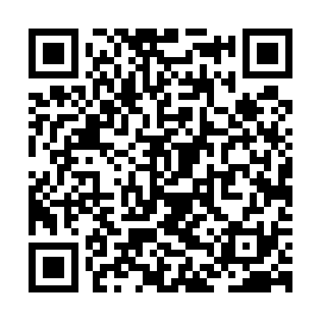 QR code for ZDT531