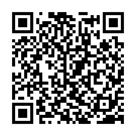 QR code for ZDV311