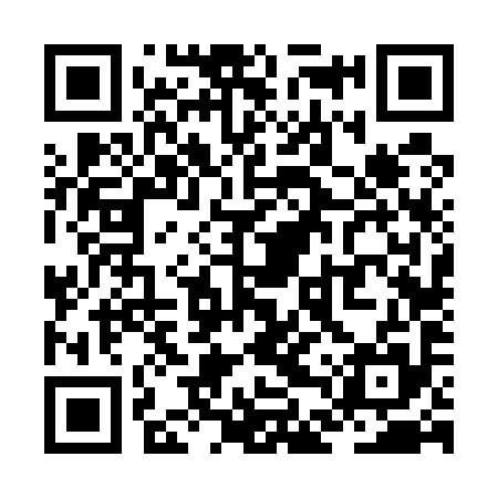 QR code for ZDV595