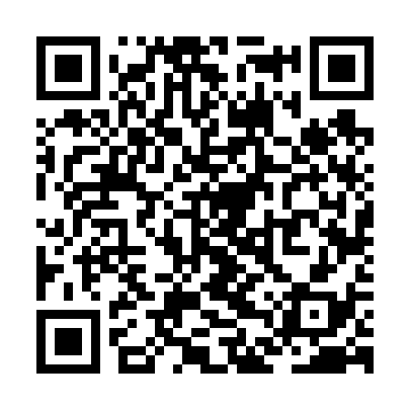 QR code for ZDV638