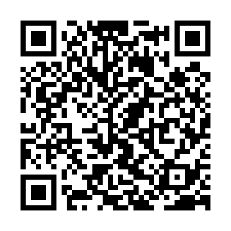 QR code for ZDW539