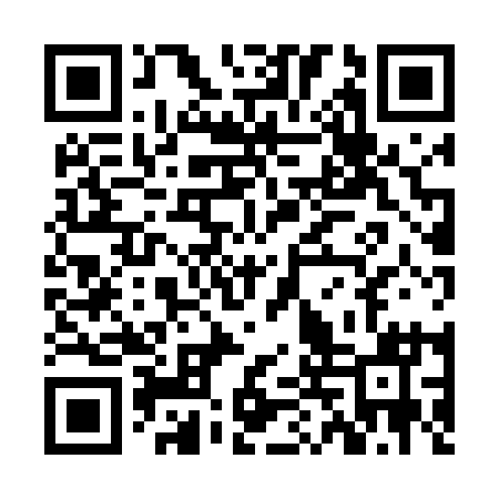 QR code for ZDX411