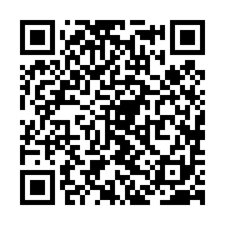 QR code for ZDX491