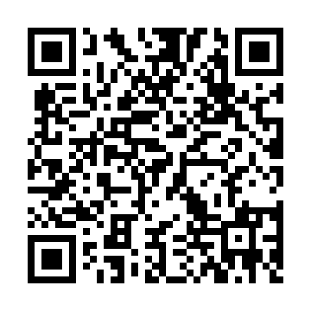 QR code for ZDX551