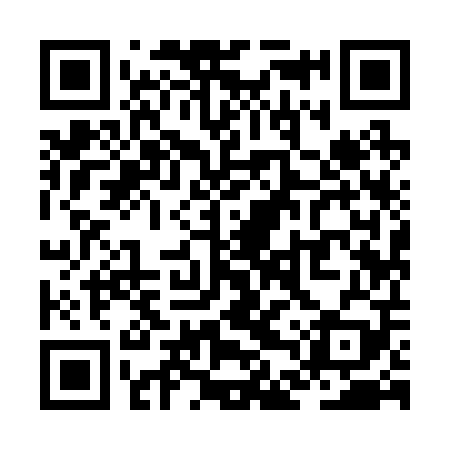 QR code for ZDY209