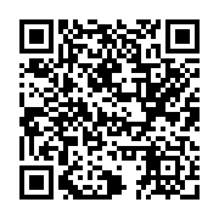 QR code for ZDZ303