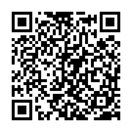 QR code for ZDZ545