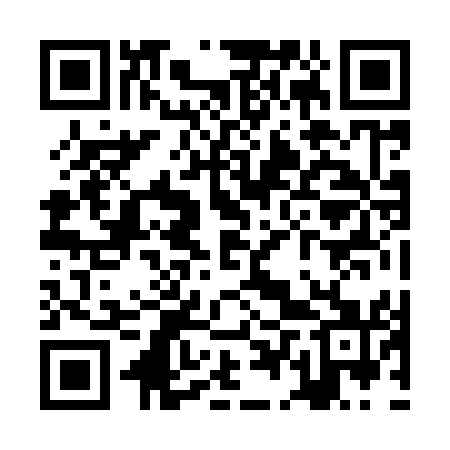 QR code for ZDZ951