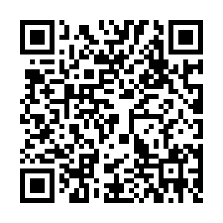 QR code for ZDZ981