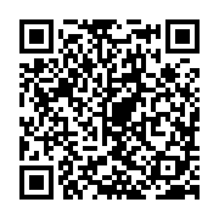 QR code for ZDZ989