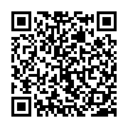 QR code for ZEE309