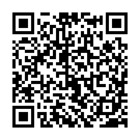 QR code for ZEJ381