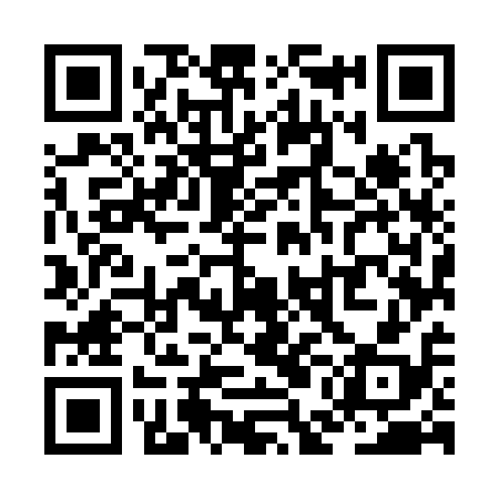 QR code for ZEM318