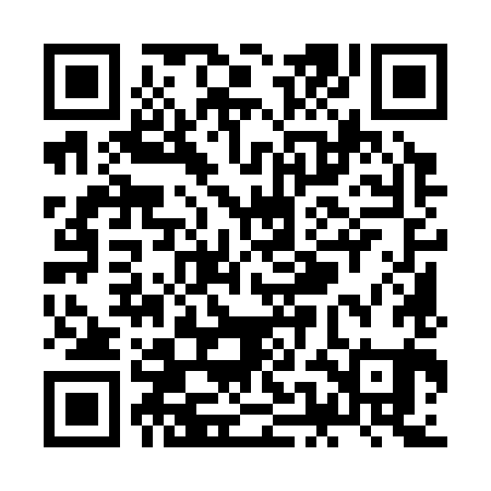 QR code for ZEM381