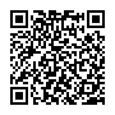 QR code for ZEW388