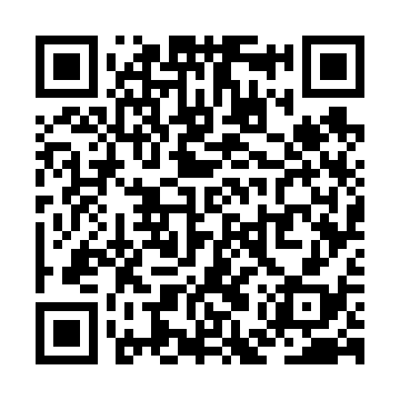 QR code for ZEW638