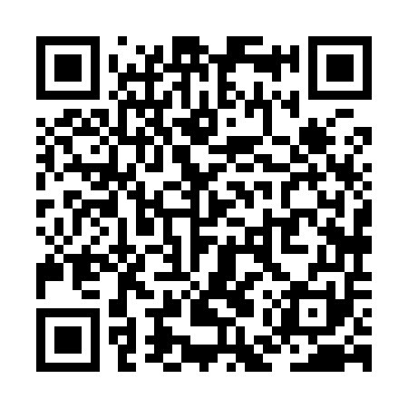 QR code for ZEX951